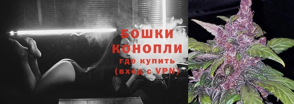 соль курить ск Богданович
