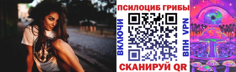 где купить наркотик  Кириши  Галлюциногенные грибы Psilocybine cubensis 